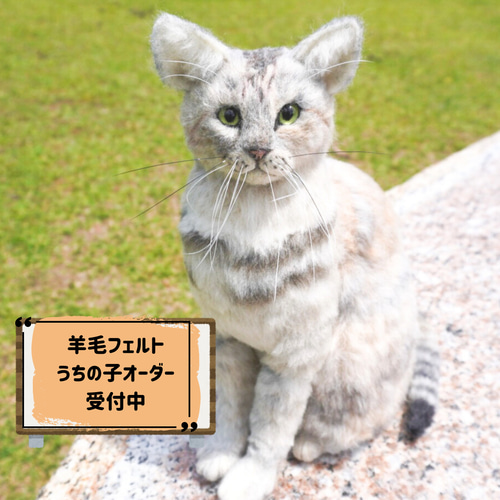 あなたの猫ちゃんを羊毛フェルトでカタチに 羊毛フェルト すぱいらる