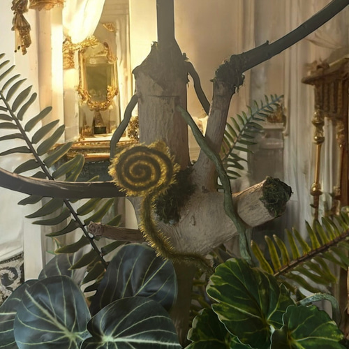 光触媒　人工観葉植物　フェイクグリーン　モンステラバリエガータアレンジ.@pd 光触媒 人工観葉植物 フェイクグリーン モンステラバリエガータ