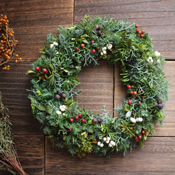 クリスマスローズとグリーンの大人色リース✳︎ドライフラワー◎25