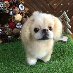 コーギーパピー（お座り❣️） 羊毛フェルト コーギー大好きママ 通販