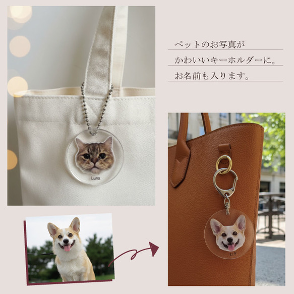 キーホルダー オリジナル 写真プリント オリジナルグッズ 写真入り ペット プレゼント  gp-keyhol-pet 3枚目の画像