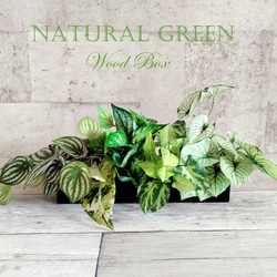 再再再再再再再再再再再再再販 迫力グリーン リゾートホテルのような