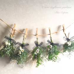 アナベル&ユーカリのドライフラワースワッグ♢ドライフラワー