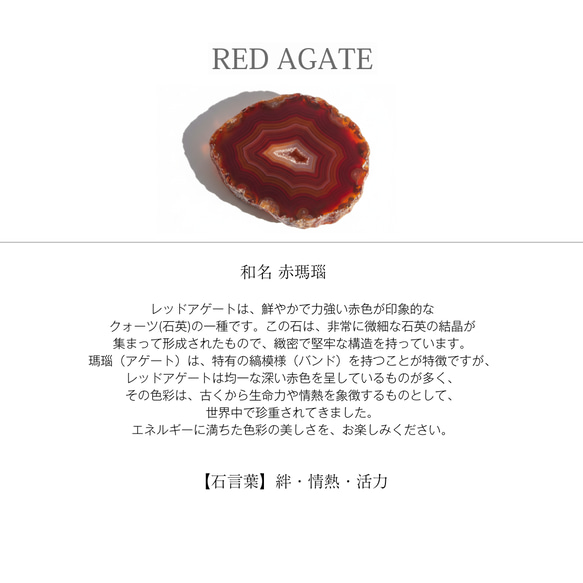  第4張的照片