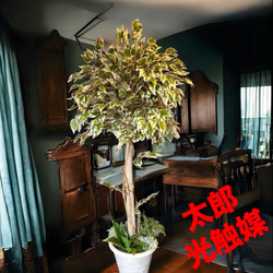 光触媒 人工観葉植物 ウォールグリーン フェイクグリーン モンステラ75