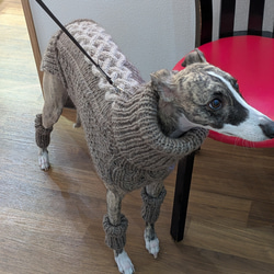 犬服♪中型犬ウィペット用の２色使いアラン模様のタートルネック手編みセーター(リード通し穴有り) 1枚目の画像