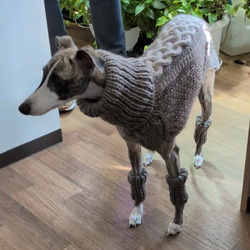 犬服♪中型犬ウィペット用の２色使いアラン模様のタートルネック手編みセーター(リード通し穴有り) 2枚目の画像