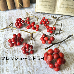 大地農園ミニバラドライヘッドピンク5輪小分け❣️ハーバリウム花材