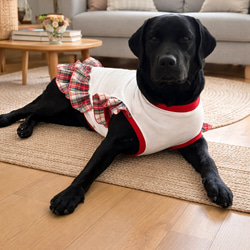 大型犬用 フリフリ フリルスタイ ペット服・アクセサリー ⭐︎buddy