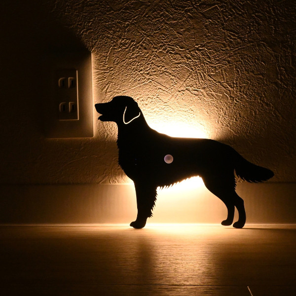 人感センサー　ウォールライト　フラットコーテッドレトリバー