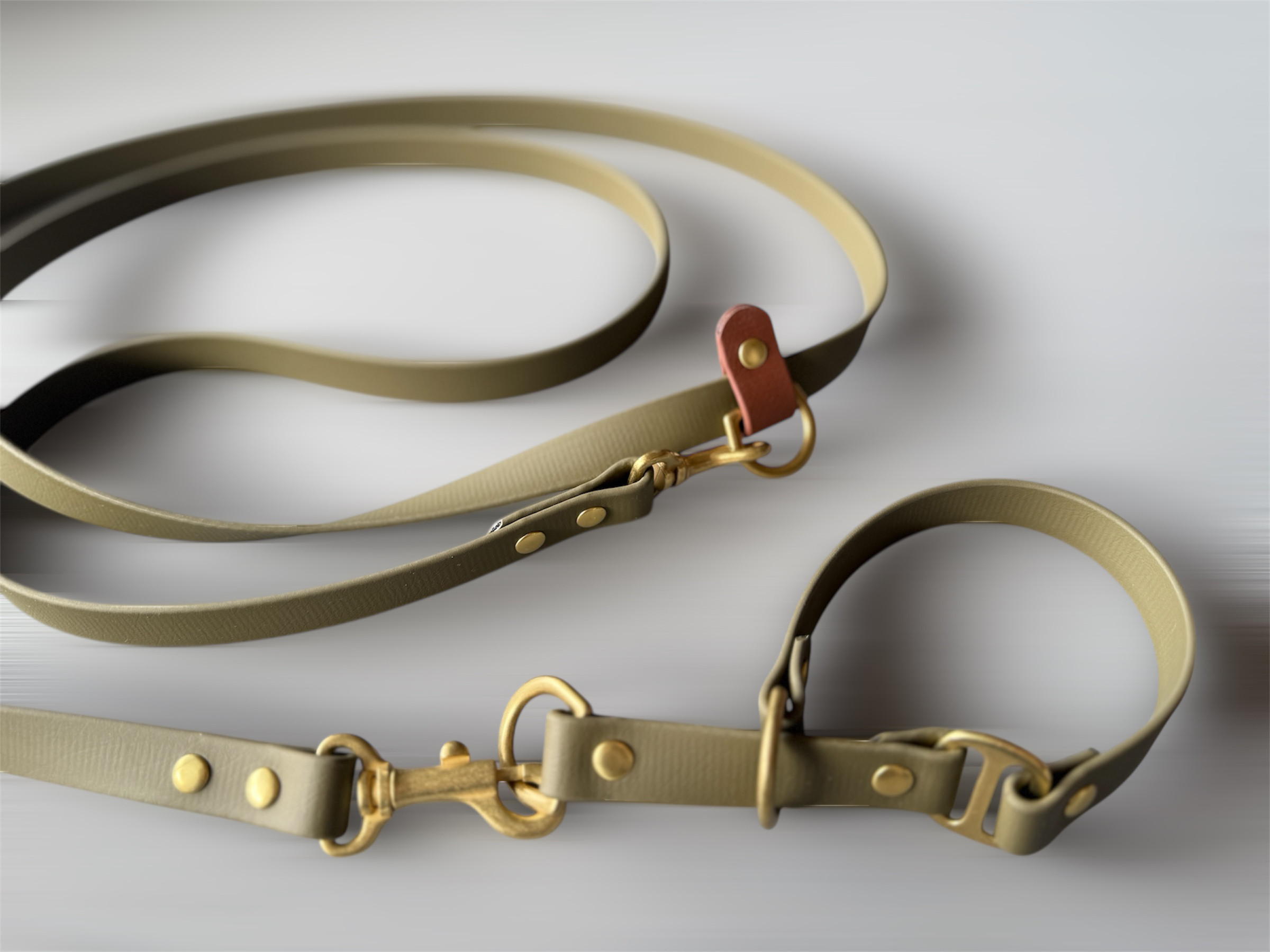 受注制作　選べる色・BioThaneリード