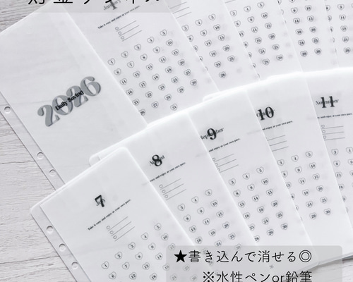 Savingリフィル デザイン㉑ 貯金リフィル 13枚セット その他雑貨