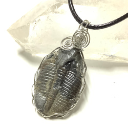 一点物☆太古の海の記憶 天然石(化石) アンモナイト 原石 ② 天然石