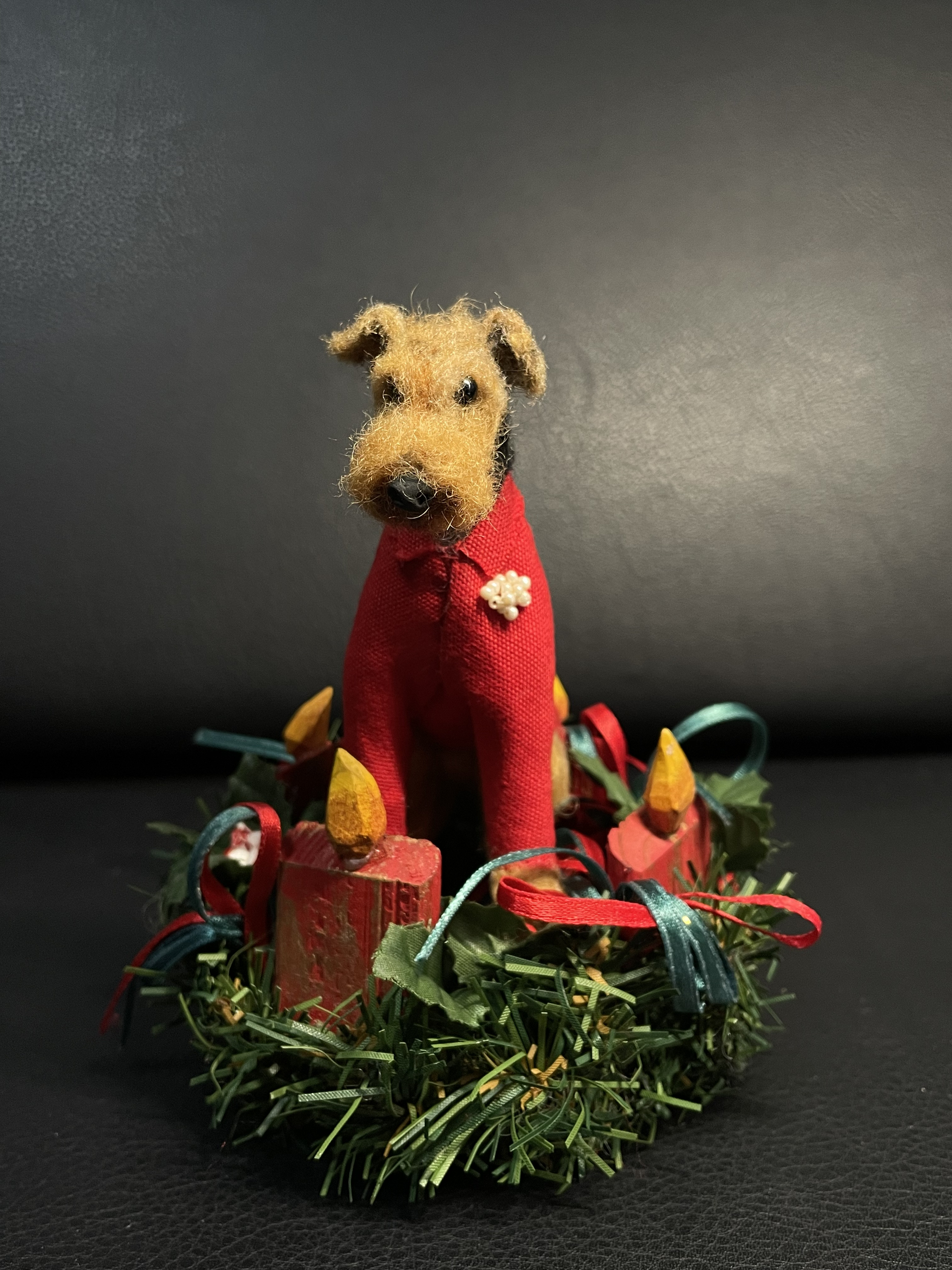 赤ジャケットが似合う　ウェルシュテリア