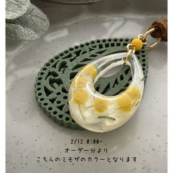  第14張的照片