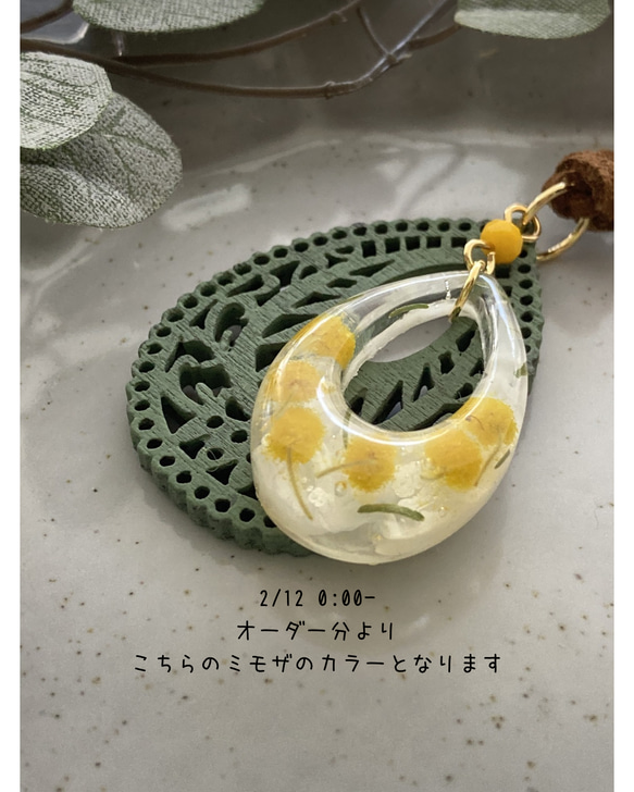  第14張的照片