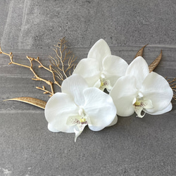 胡蝶蘭バレリーナブーケ♪ウェディングブーケ ブートニア付き ブーケ