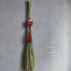 タニクグリーンアップル！？ 青りんごと多肉植物 フェイクグリーン