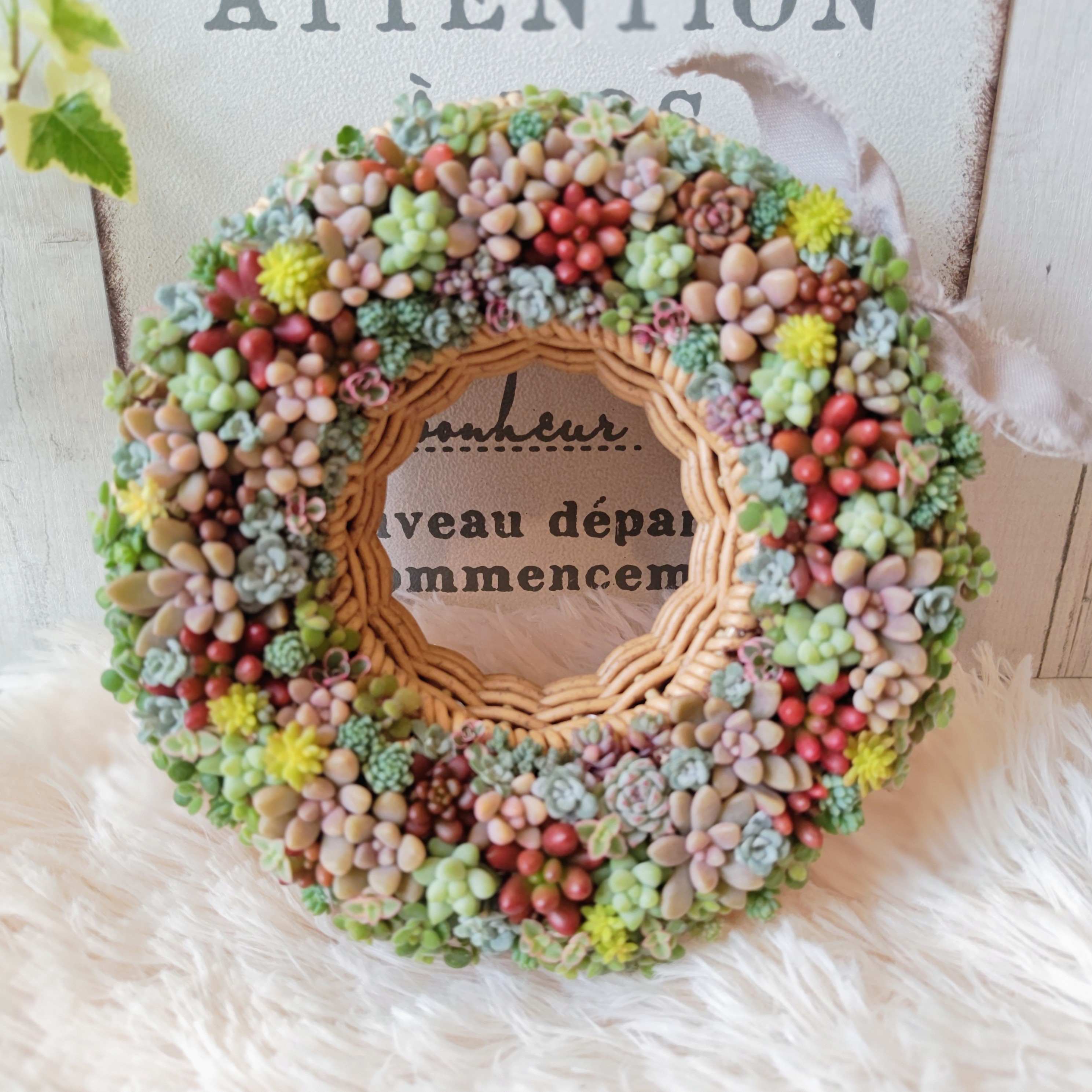 【受注制作】 そのまま飾れる多肉植物 リース プレゼント お祝い 6,916円