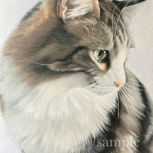 ペット画 オーダー似顔絵【A5】 オーダー】ペットの似顔絵（水彩）A5サイズ イラスト umecha 通販