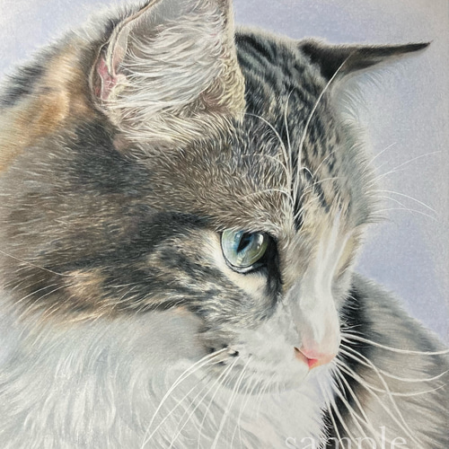 ペット画 オーダー似顔絵【A5】 オーダー】ペットの似顔絵（水彩）A5サイズ イラスト umecha 通販