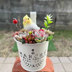 ☆送料無料☆♡そのまま飾れる♡クリスマス☆トナカイの多肉植物寄せ