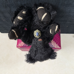 ブラックベア 2枚目の画像