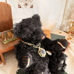 ブラックベア 3枚目の画像