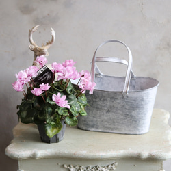 ブリキ植木鉢 ピトレスワイドカップGY アンティーク調 シャビーシック