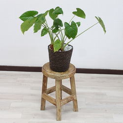 モンキーポッド スツール 椅子 木製 ダイニング 無垢材 1本彫り 腰掛