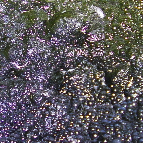 ☆宇宙から飛来☆モルダバイト隕石☆5.3g/25.1mm☆天然ガラスラフ鉱物