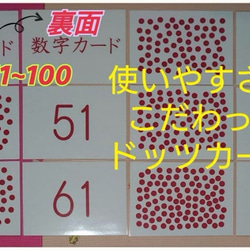 新品〘0歳から始める〙ドッツカード【0〜100】算数記号、袋付