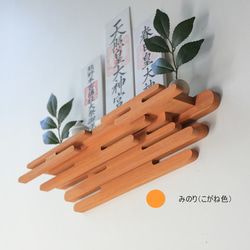  第5張的照片