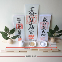  第8張的照片