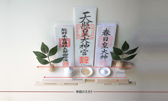  第8張的照片