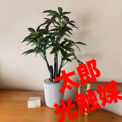 光触媒 人工観葉植物 ウォールグリーン フェイクグリーン ユーカリ高さ