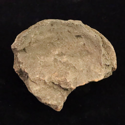 北海道幌加内町 ペトリファイドウッド 珪化木 110mm原石 321g #29885