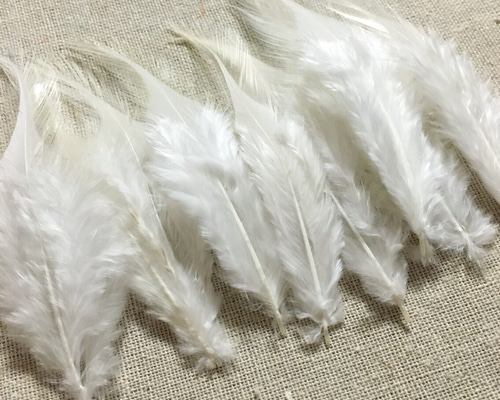 羽 フェザー ホワイト 10枚セット 5〜10cm 金具付き その他素材 ギルド