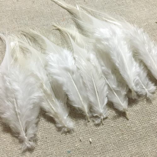 フジ フェザー 純正パーツセット 中古 バラ売り不可 値下げ可 2026年最新】Yahoo!オークション -fuji featherの中古品・新品・未使用