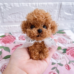 モールドール ハンドメイド トイプードル 犬 わんこ ぬいぐるみ