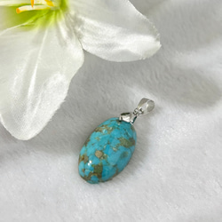 ターコイズ ペンダントトップ の人気通販｜Creema(クリーマ) 国内最大