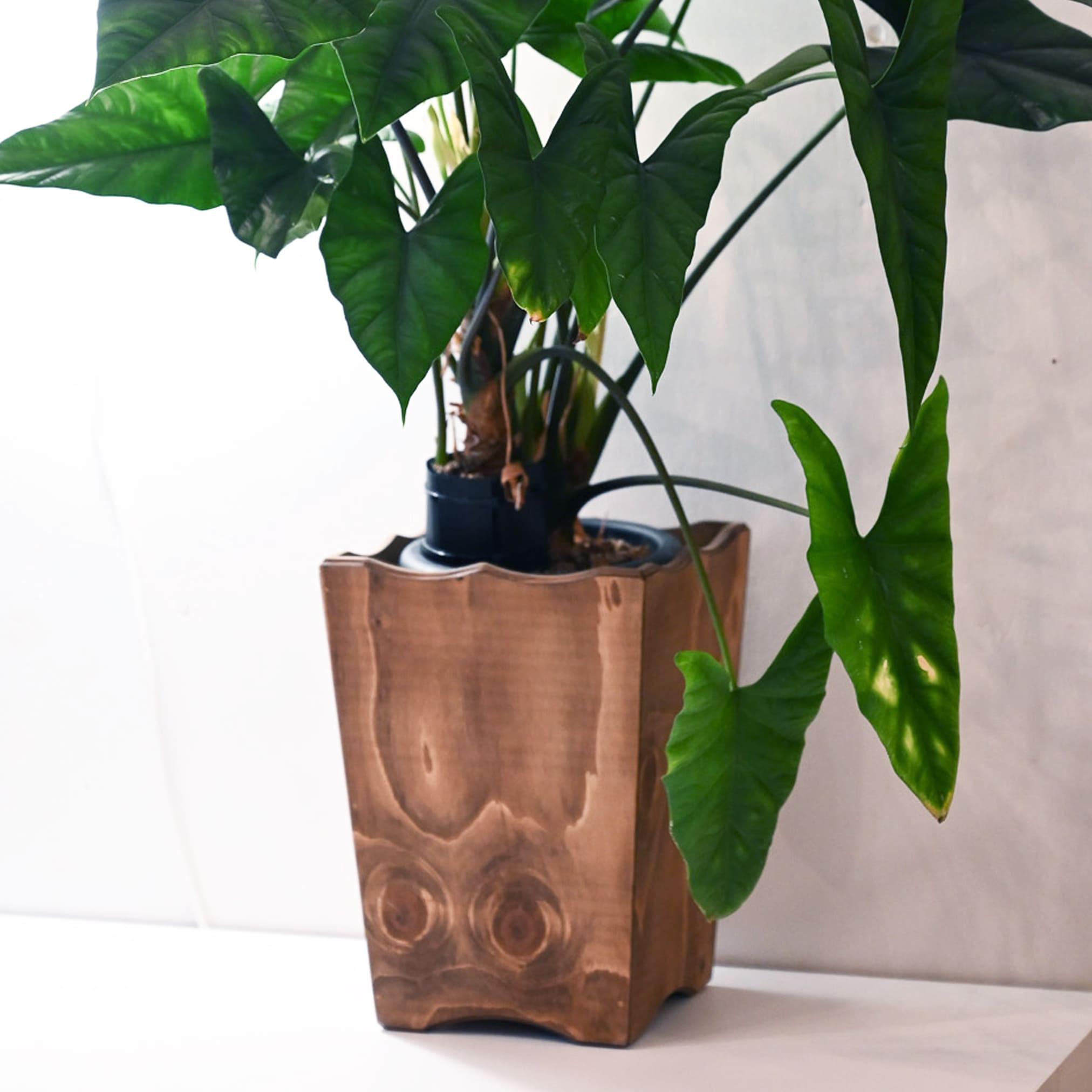 木製ダストボックス