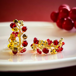 耳ツボジュエリー | 耳ツボ辞典 | 112通り＋αの症状 | B6サイズ