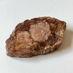 珪化木（ペトリファイドウッド）typeB 天然石 はな's works 通販