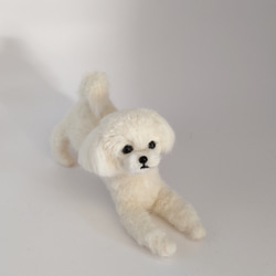 羊毛フェルト フルコートのマルチーズ 羊毛フェルト Rurumaru 通販