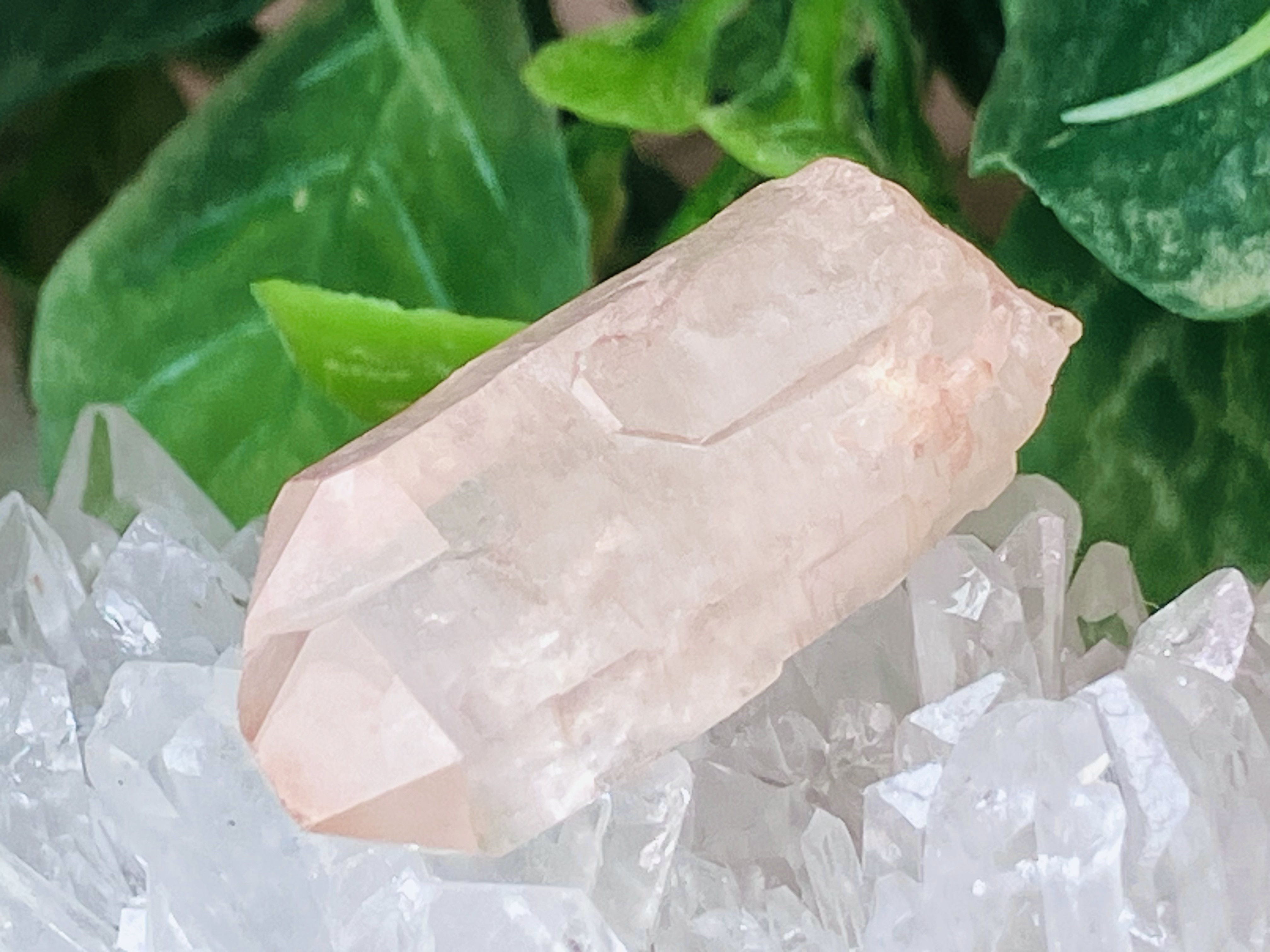 カテドラル✞.* ディアマンティーナ産 ピンクレムリアンシードクリスタル
