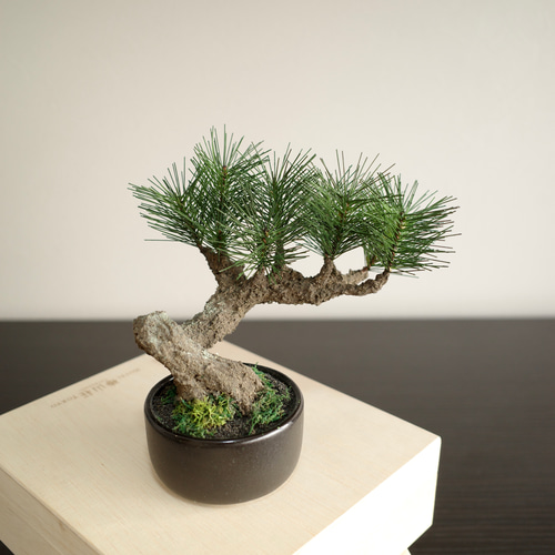 Moden Bonsai S / 手入れ不要のフェイク盆栽 立体・オブジェ Shirabe
