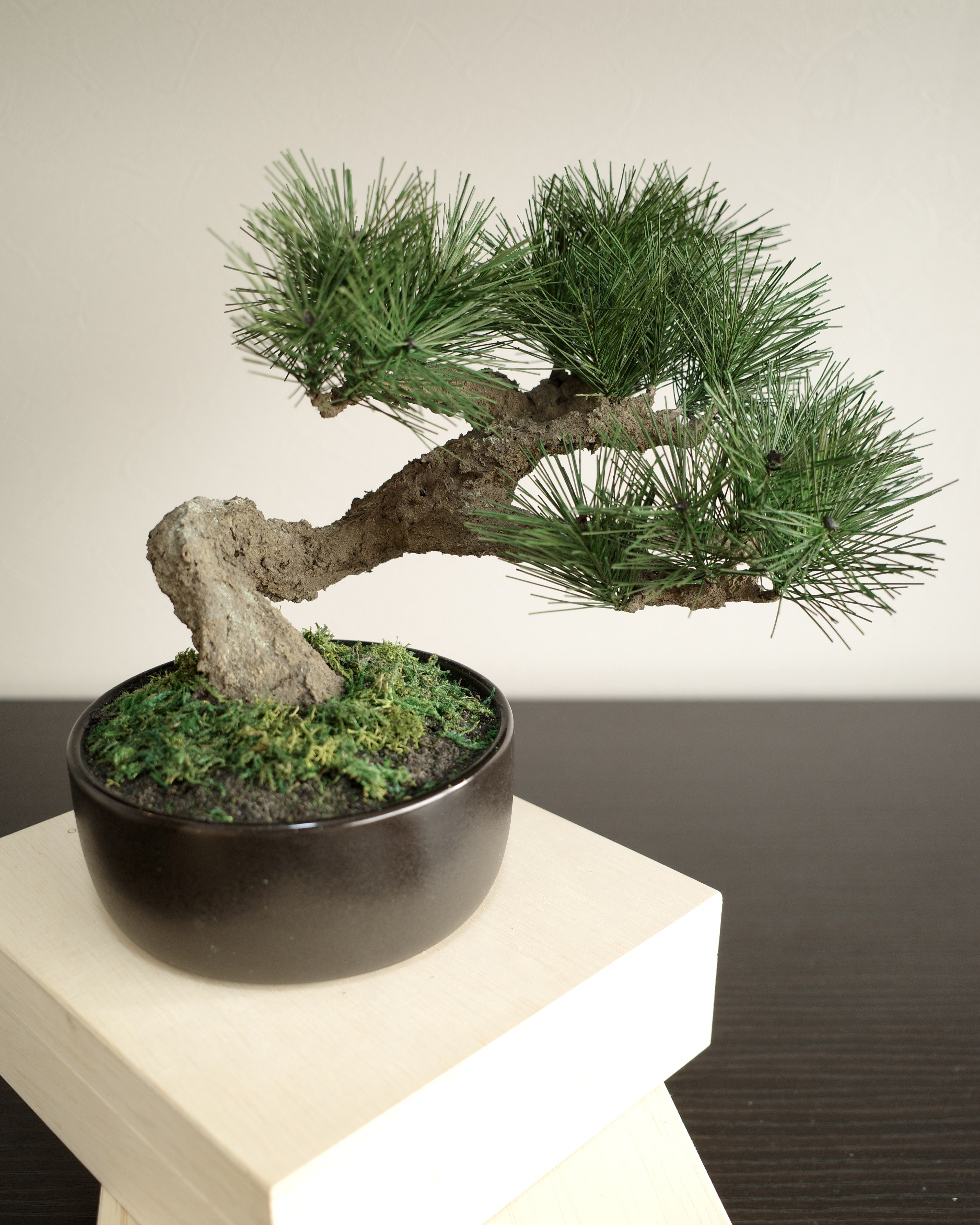 Moden Bonsai L / 手入れ不要のフェイク盆栽