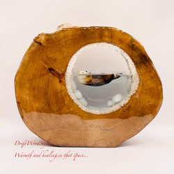 一つ限りの流木アート 海に浮かぶラッコ ジオラマ 流木 フィギュア 置物 インテリア レジン テラリウム 生き物 N36 6枚目の画像