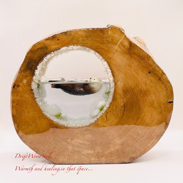 一つ限りの流木アート 海に浮かぶラッコ ジオラマ 流木 フィギュア 置物 インテリア レジン テラリウム 生き物 N36 1枚目の画像